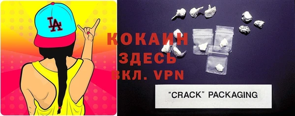 крисы Михайловск