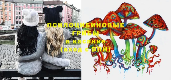 spice Михайлов