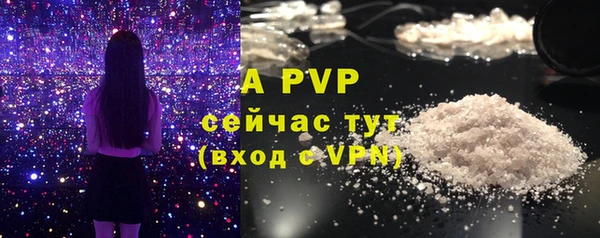 крисы Михайловск