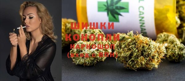 крисы Михайловск