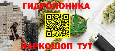 шишки Абинск