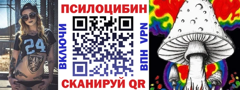 Псилоцибиновые грибы GOLDEN TEACHER  купить наркотик  Абакан 