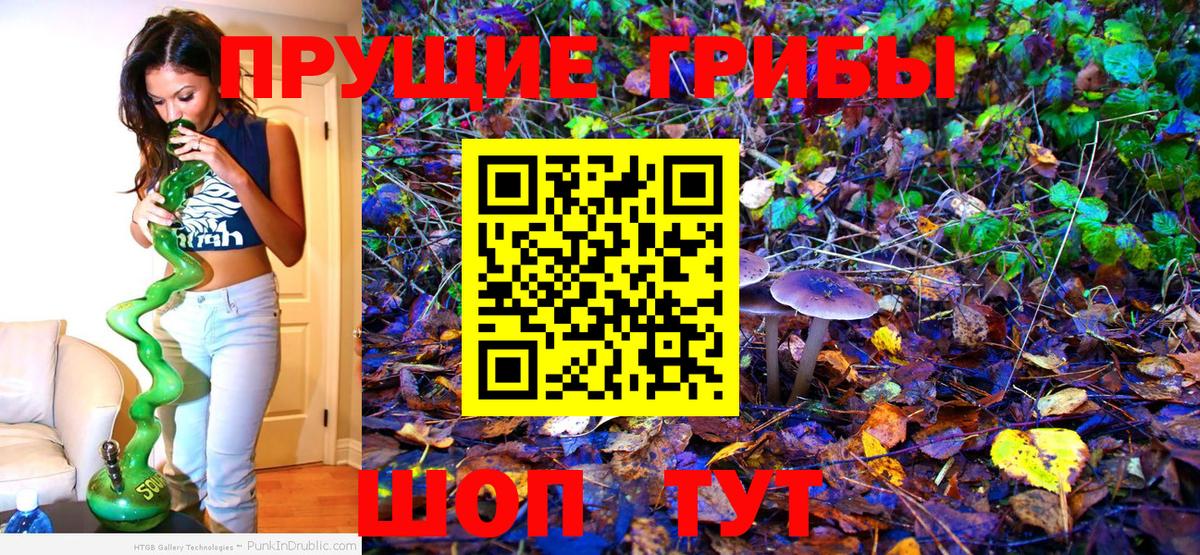 Галлюциногенные грибы мухоморы  Вход с VPN  Абакан  Псилоцибиновые грибы GOLDEN TEACHER 